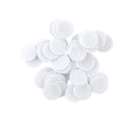 FILTER FOR MICRODERMABRASION, FOR MODEL CIB-8001/3002 - TopSpaSupply.com