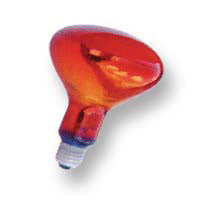 Infra Red Bulb - TopSpaSupply.com