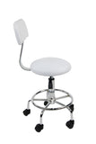 Beauty Salon Stool with Backrest
